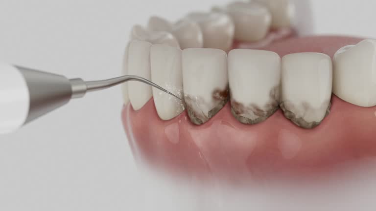 Reliable Dental contractor in Fort Bend County County, TX by Dentist Open Now